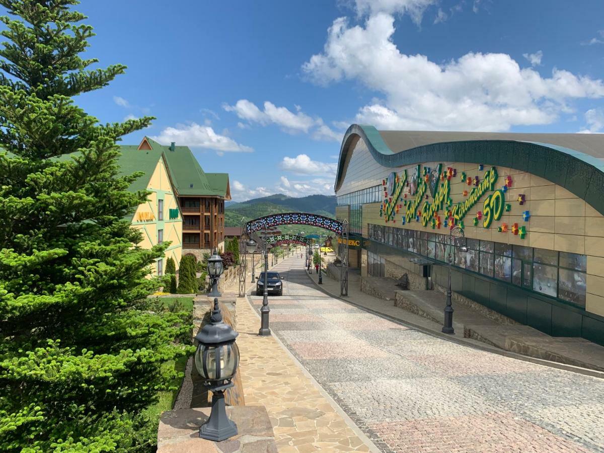Карпатська Ружа Plave Exterior photo